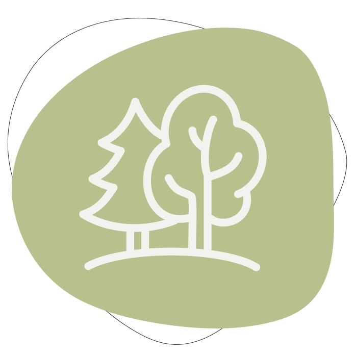 Icoon Natuurlijk Leren
